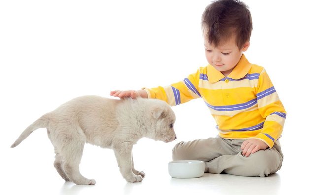 Soužití se zvířaty dětem prospívá. Zvládnout lze i alergie