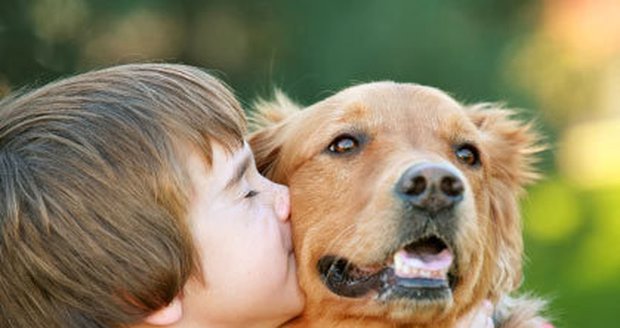 Pes je nejlepší přítel člověka. Prospívá i našemu zdraví