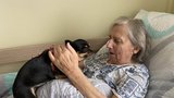 Sem psi smí: V centru pro seniory na Klatovsku ubytují klienty i s domácím mazlíčkem