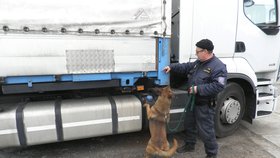 Policisté auto odstavili. Služební pes Don v něm pak vyčenichal tabák.