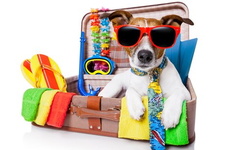 Vezměte psa na dovolenou aneb Jak cestovat s čtyřnohým miláčkem 