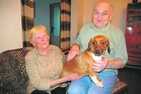 Fenka Lucka už našla nový domov!