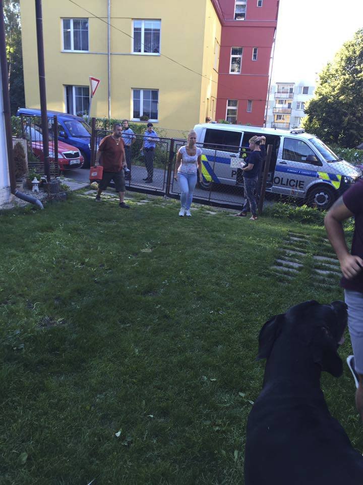Liberecká policie vyšetřuje případ otřesného týrání zvířat. Neznámý pachatel poleptal psa žíravinou.