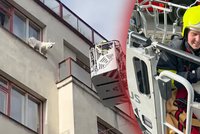Kuriózní zásah pražských hasičů: Ve Vršovicích sundávali psa z parapetu