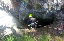 Dobrá práce hasičů ze Stříbra: Zachránili ztraceného Arga