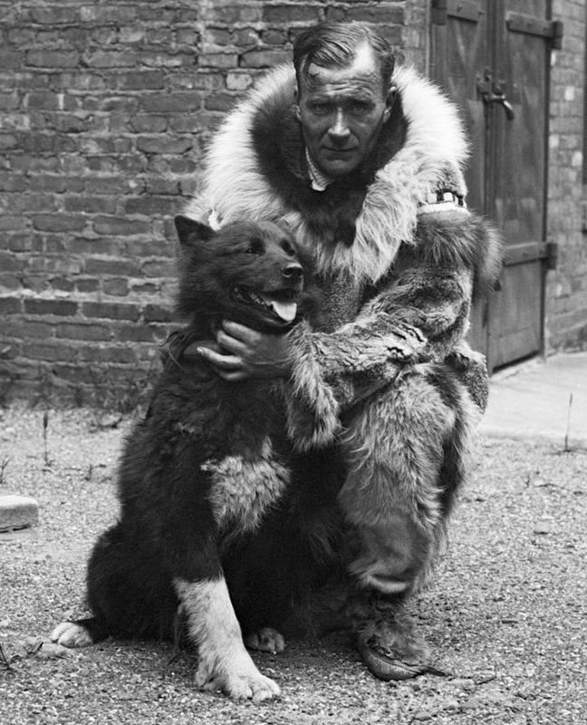 Sibiřský husky Balto s musherem Gunnarem Kaasenem dovezli sérum do Nome