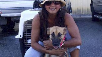 Žena na Bahamách zachránila od téměř jisté smrti 97 psů. Ukryla je před hurikánem Dorian u sebe doma
