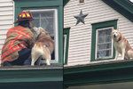 Pes dal pusu požárníkovi, který ho zachránil.