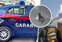 Vynalézavý Ital naučil psa zakládat černé skládky. Pokutě se stejně nevyhnul