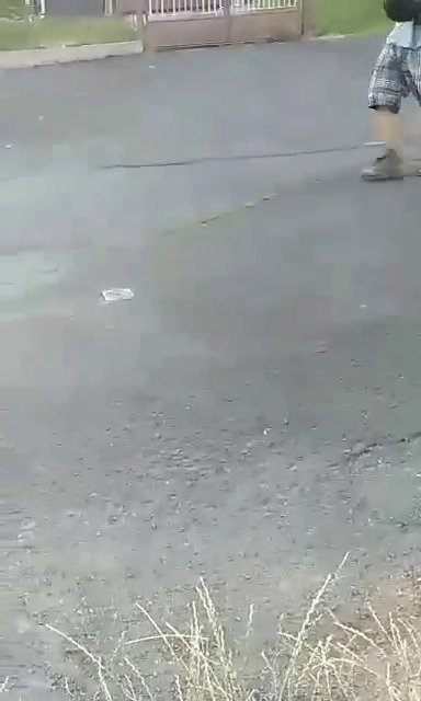 Muž na ulici v Jáchymově napadl svojí vlastní fenku. Nejprve ji uhodil, pak škrtil a nakonec s ní hodil o zem. Policie mu zvíře odebrala.
