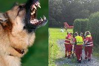 Pes pokousal v Karviné dva muže: Stařec (†84) zemřel! Zvíře policisté zastřelili