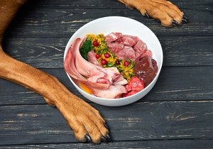 Kvalitní granule a maso je základem psího jídelníčku.