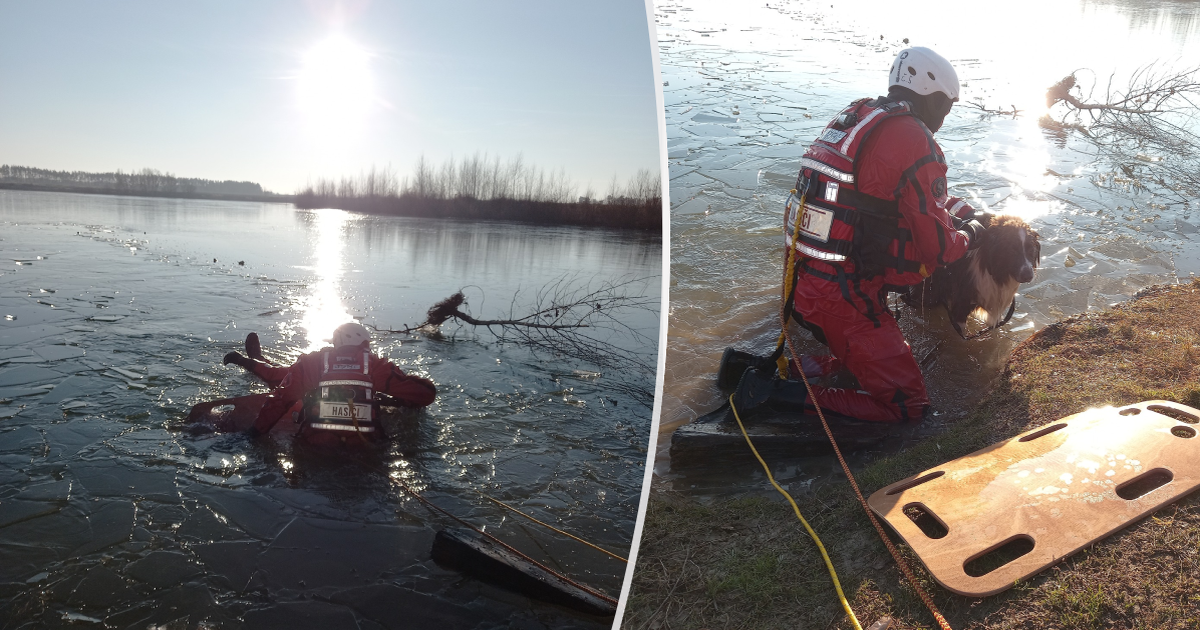 Kosice: Un pastor quedó atrapado en el hielo en Chlumec, los rescatistas ayudaron