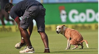 Na to vám se*u! Toulavý pes v Indii nevybíravě narušil mezinárodní zápas v kriketu