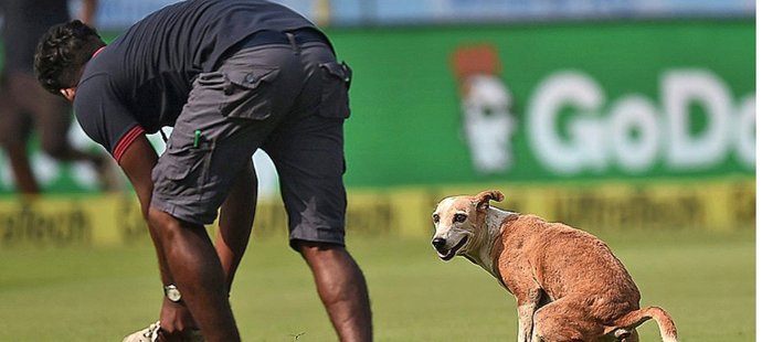 Toulavý pes se vykálel přímo na hřiště během mezinárodního zápasu v kriketu.