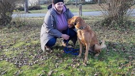 Puči je učenlivý, díky dočaskářce zvládl rychle všechny základní povely