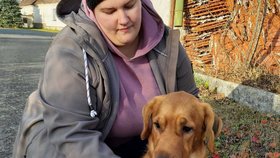 Puči je učenlivý, díky dočaskářce zvládl rychle všechny základní povely