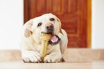 Tvorbu zubního kamene hodně ovlivnit tím, čím psa krmíte.