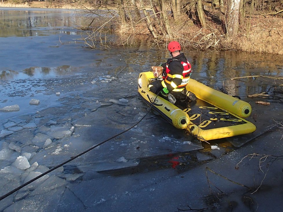 Pod Artušem se propadl led a voda ho odřízla na ostrůvku: Zachránili ho hasiči
