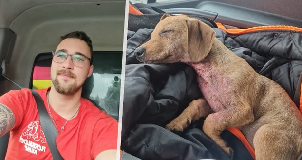 Josef (19) v Maďarsku našel popálené štěně v tašce od krve: Zachránil mu život, pejska si vezme domů