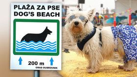 V zahraničí mají psi vlastní pláže