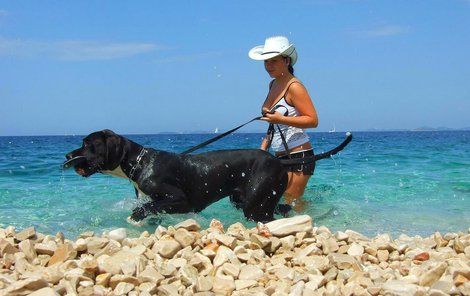 V Chorvatsku najdete přibližně 30 pláží určených pro psy a to včetně oblíbených lokalit jako je Pula, Pag, Umag, Rijeka, Bol, Trogir, Vis, Split anebo Dubrovnik.