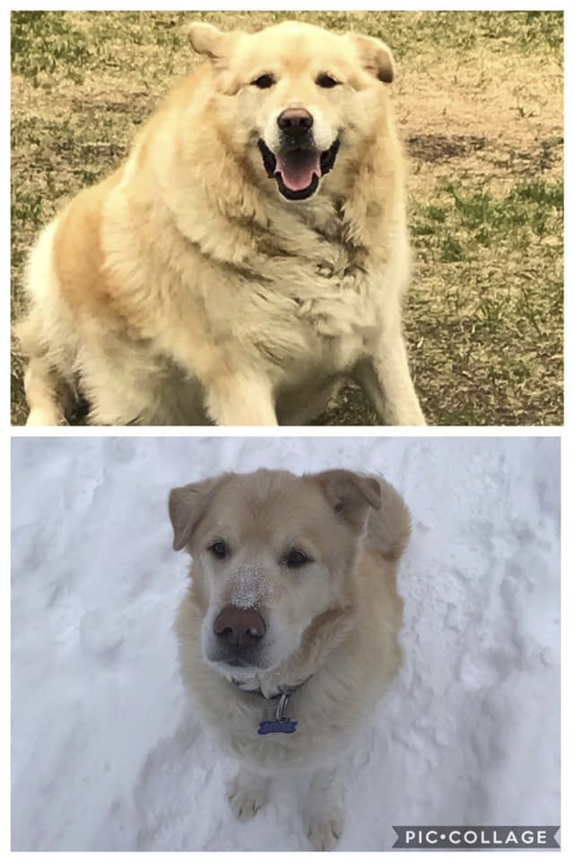Kai před a po dietě!