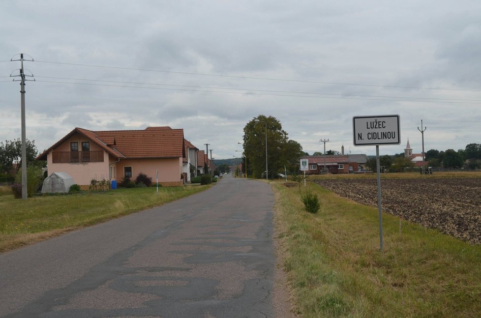 18. září 2016 pětiletý chlapec zemřel poté, co ho napadl pes v Lužci nad Cidlinou na Královéhradecku.