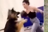 Strašné týrání zvířat: Žena si natočila, jak boxuje do nebohého pejska