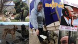 Ukrajinská krize očima psů: Když si vojáci najdou chvilku na čtyřnohé mazlíčky