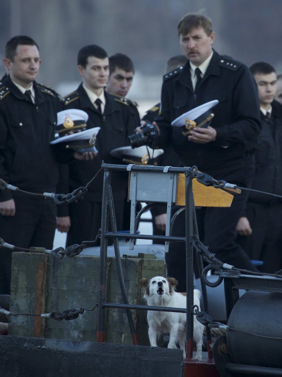 Pes, který štěká, nekouše? Hlídač posádky ukrajinské lodi Ternopil v Sevastopolu na Krymu