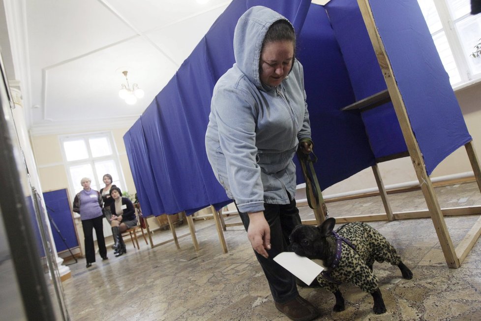 U referenda na Krymu byli v Sevastopolu i paničky a jejich pejsci