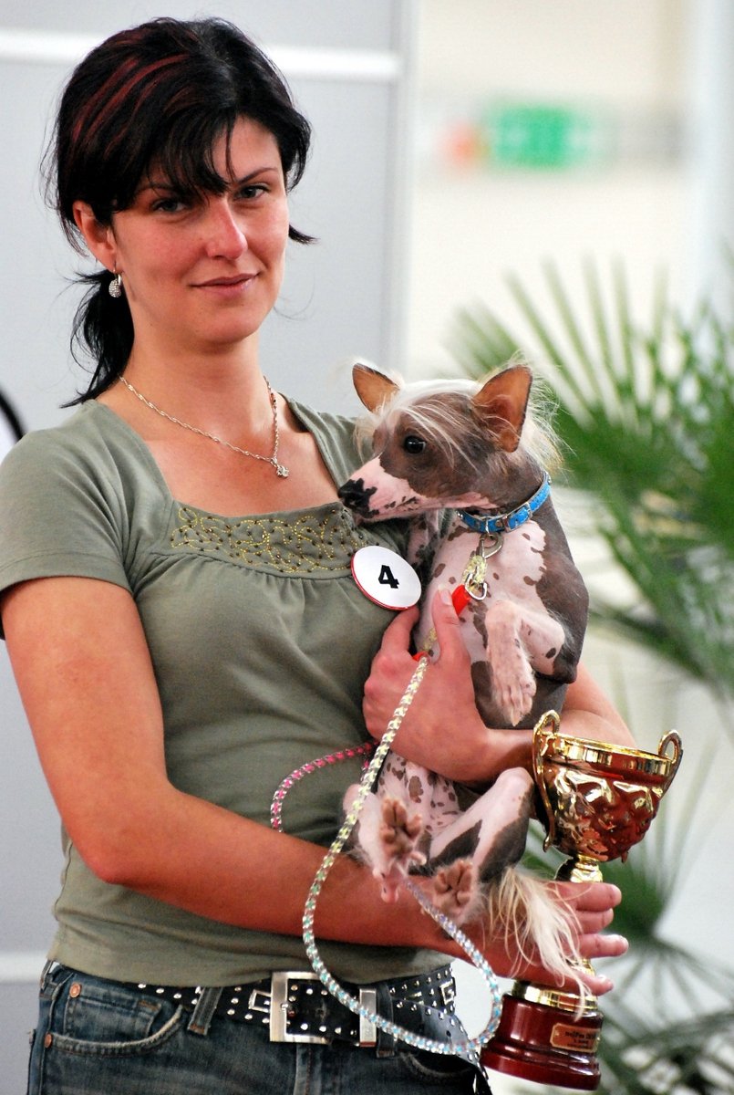 Čínský chocholatý pes Falko a jeho panička Lenka Masaříková se umístili na třetím místě.