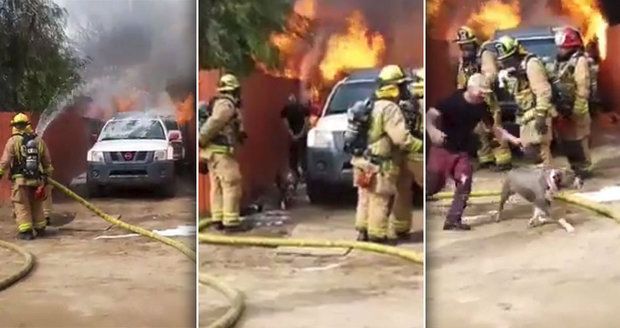 Dvacet vteřin děsu: Muž vběhl do hořícího domu, aby zachránil svého psa! Šokovaní hasiči jen přihlíželi