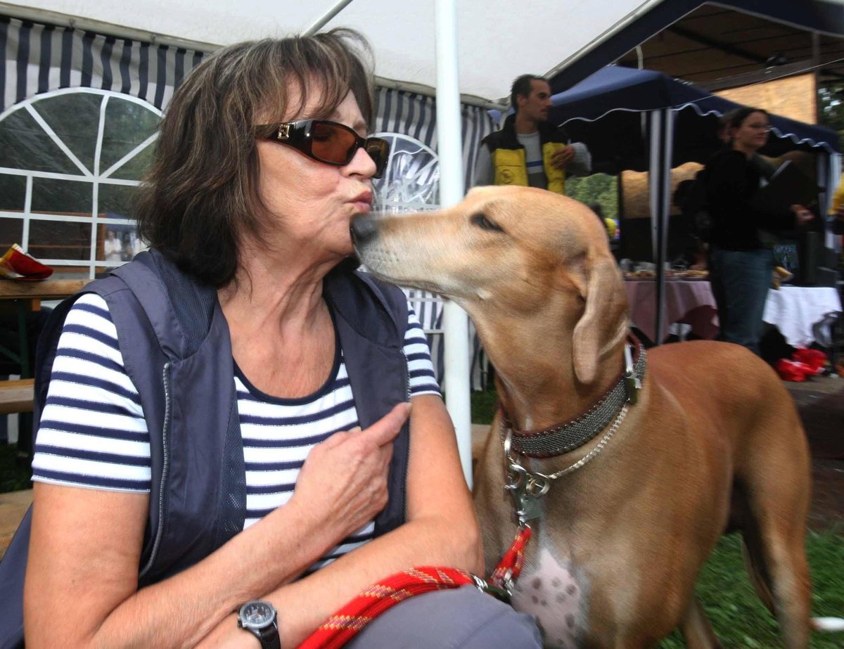 Marta Kubišová psy miluje. A oni ji.