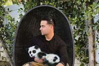 Pro slávu cokoli! Youtuber udělal ze svého psa pandu, lidé se baví i nadávají