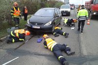 Psí rošťák vlítl v Brně pod auto: Vyprošťovala ho celá hasičská jednotka