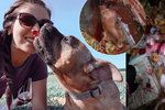 Ele z Ledče nad Sázavou podřezali milované psy: Policie případ odložila