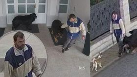 Zloděj nešika se snažil ukrást psa, ten se sám vrátil k majiteli: Lupiče zachytily kamery!