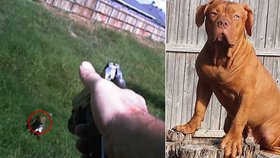Policista psa nejprve nalákal a pak ho zastřelil