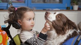 Asistenční psi umí pomáhat nejen zrakově postiženým.