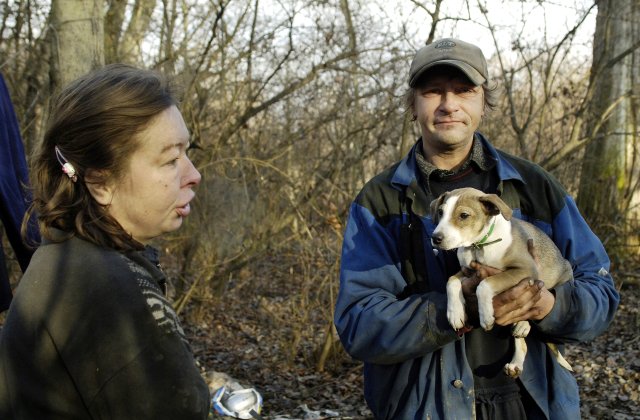 Pražští bezdomovci se o své psy starají lépe než o sebe. Tvrdí to veterinářka, která s nimi přichází do styku. (Ilustrační foto)
