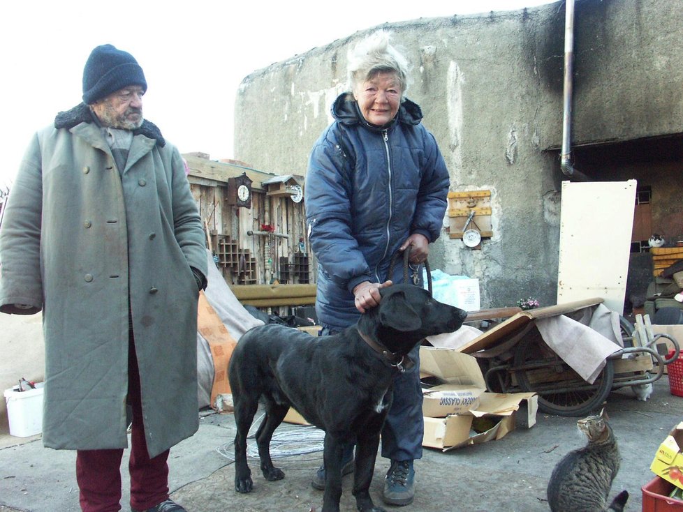 Pražští bezdomovci se o své psy starají lépe než o sebe. Tvrdí to veterinářka, která s nimi přichází do styku. (Ilustrační foto)