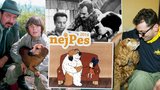 NejPes 2014 a nejslavnější filmoví psi: Štěkali ze stříbrného plátna! I váš pes se může proslavit