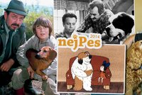 NejPes 2014 a nejslavnější filmoví psi: Štěkali ze stříbrného plátna! I váš pes se může proslavit