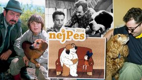 NejPes 2014 a nejslavnější filmoví psi: Štěkali ze stříbrného plátna! I váš pes se může proslavit