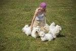 Psi se v Modřanech mohou těšit na nové venkovní vyžití. (Ilustrační foto)