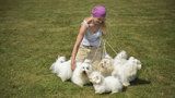 V Modřanech se otevře nové psí hřiště: Malí a velcí mazlíčci si spolu hrát ale nebudou