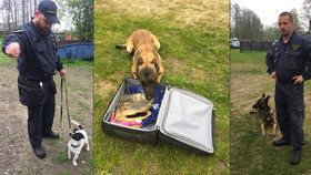 Psi z Heřmanic umí vyčenichat drogy, alkohol, zbraně i pašovaná zvířata.