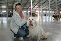 Mezinárodní výstava v Praze: Předvedlo se 5000 psů